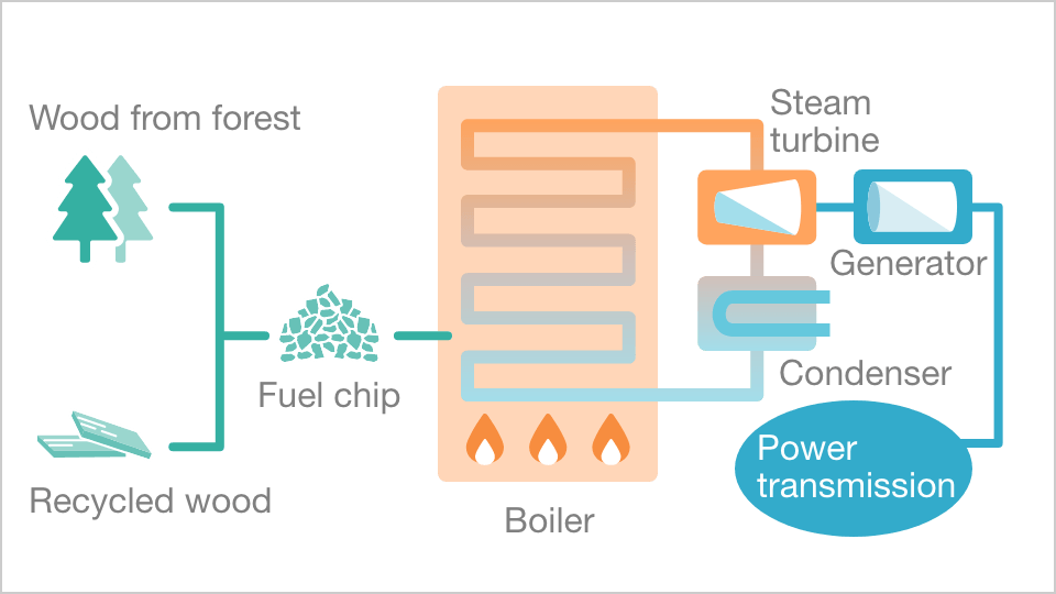 Angry Case Rest Biomass power generation business | Japan Renewable Energy Corporation
